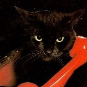 Meet your Posher, Maisie